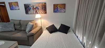 Apartamento barrerillo 5 - 317 - 4